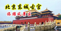 欧美女人狂插骚逼中国北京-东城古宫旅游风景区